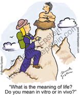 funny presentation powerpoint newsletter nurse nurses nursing woman female health healthy doctors office checkup illness ill sick disease medical medicine cartoon cartoons guru in vitro in vivo meaning of life 1681